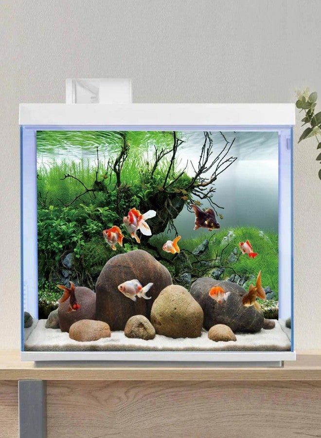 AWERT 24x16 inches Branches Fish Tank Background Seaweed Aquarium Background River Bed & Lake Aquarium Background Vinyl Background - Image 4